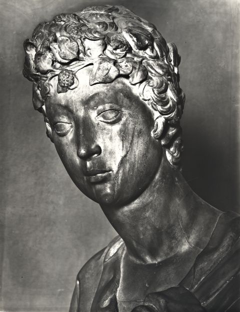 Brogi/ Malenotti, Gino — Firenze, Museo Nazionale. Donatello. David — particolare, testa di tre quarti
